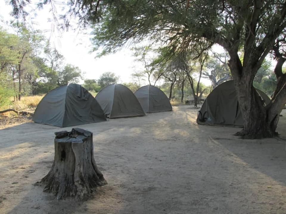 فندق Camp Mara أومارورو المظهر الخارجي الصورة